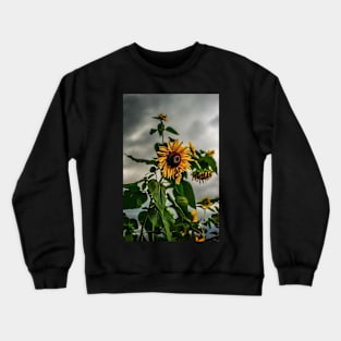 Sunflowers and storms Crewneck Sweatshirt